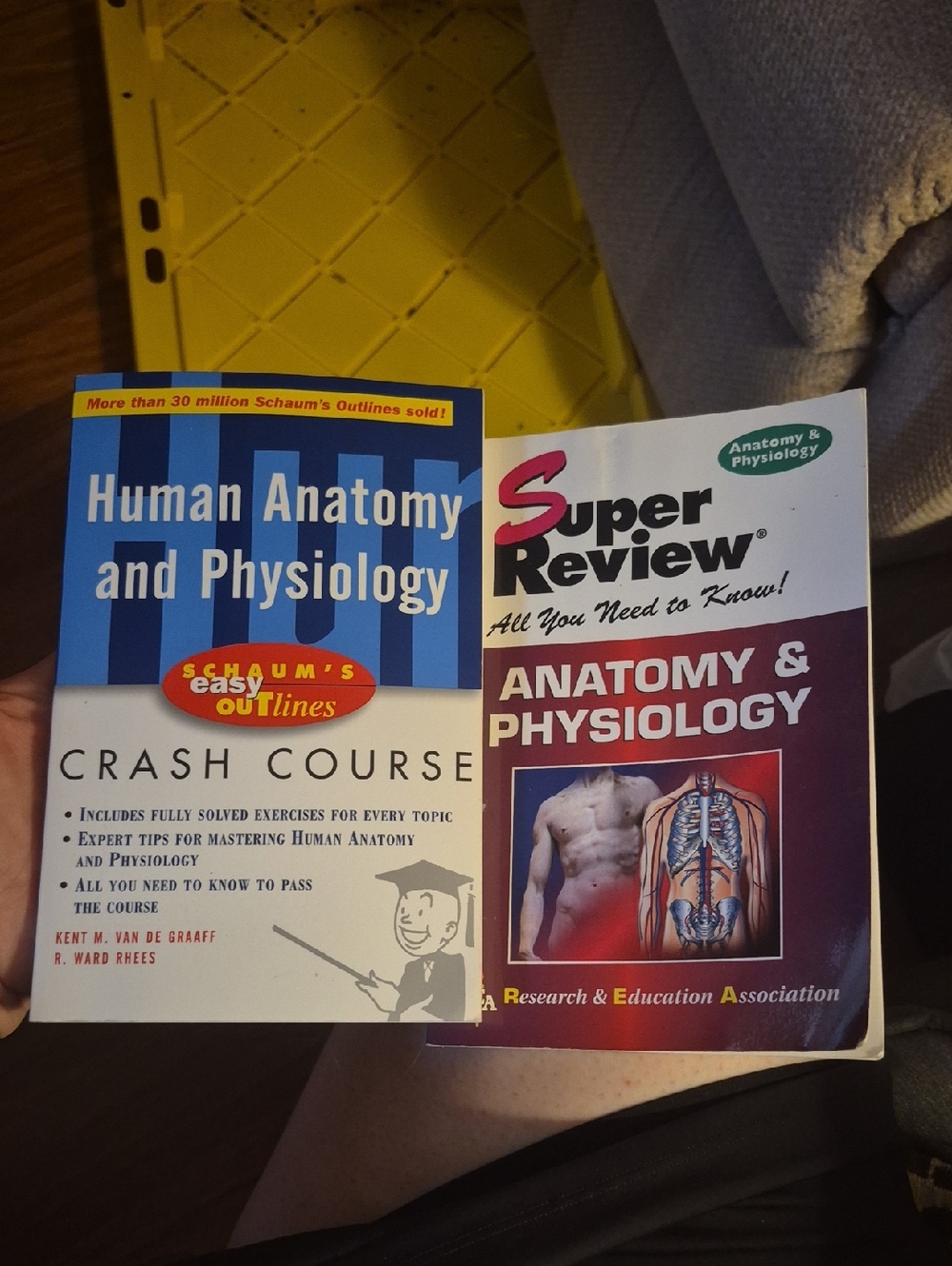 Human Anatomy & Physiology Study Guides - Blue & Maroon Covers